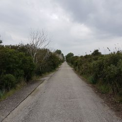 Parc natural de s'Abulfera de Mallorca