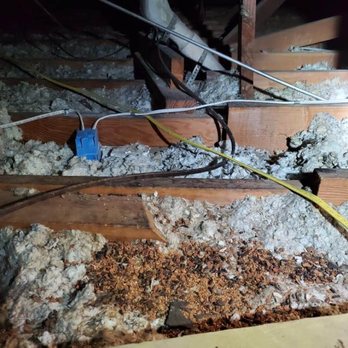 Nykor Pest Services - When Tony first saw the attic. Tons of Rat droppings that the mites were coming from. - Pest Control Near Me