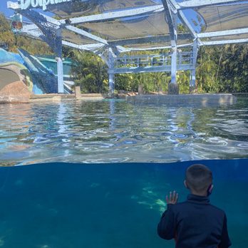 Dolphin Nursery - Aquariums Near Me - Orlando, Florida