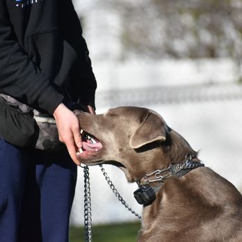 DeGouff K9 - Pet Training Near Me