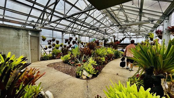 South Texas Botanical Gardens & Nature Center by null