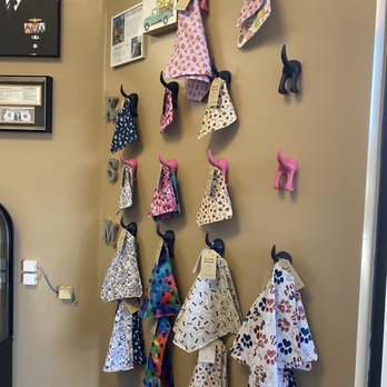 Pawtriotic Dog Bakery - Fun items inside to see... come check it out - Pet Stores Near Me - Murrieta, California Pawtriotic Dog Bakery - Fun items inside to see... come check it out - Pet Stores Near Me - Murrieta, California