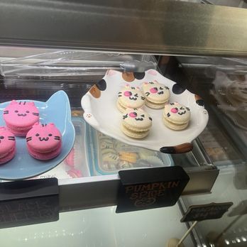 Seattle Meowtropolitan - Kitty macaroons! - Themed Cafes Near Me - Seattle, Washington