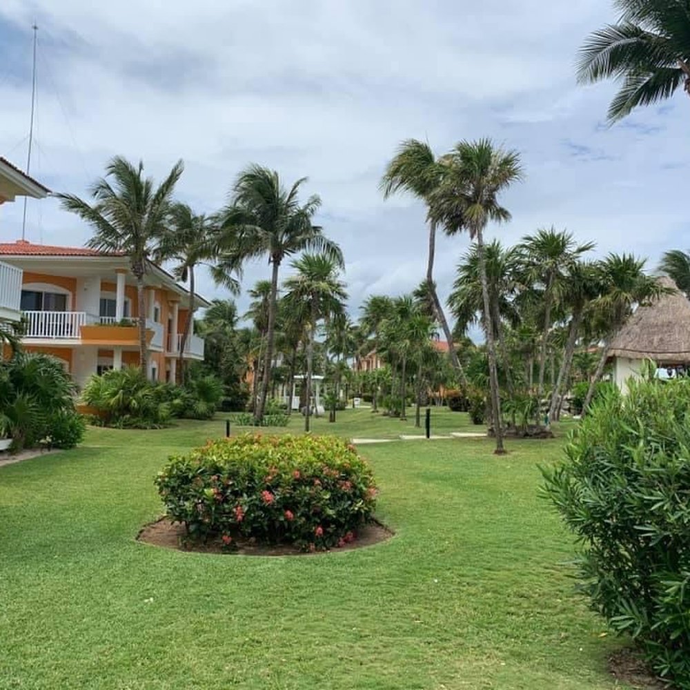 Ocean Maya Royale - Hotels Near Me - Quintana Roo, ROO