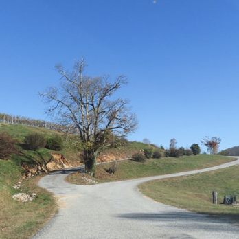 Point Lookout Vineyards - Road up to the vineyard - Wine Tasting Room Near Me - Hendersonville, North Carolina Point Lookout Vineyards - Road up to the vineyard - Wine Tasting Room Near Me - Hendersonville, North Carolina