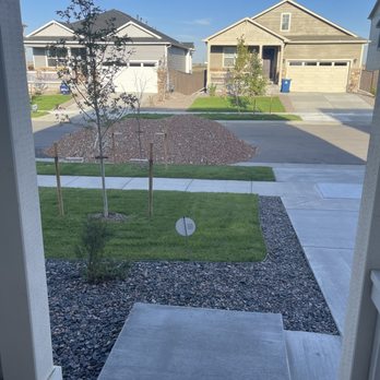 M Brothers Services - Landscaping Near Me