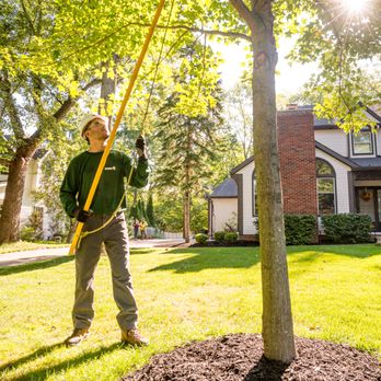 The Davey Tree Expert Company - Tree Services Near Me - Eldridge, Iowa The Davey Tree Expert Company - Tree Services Near Me - Eldridge, Iowa