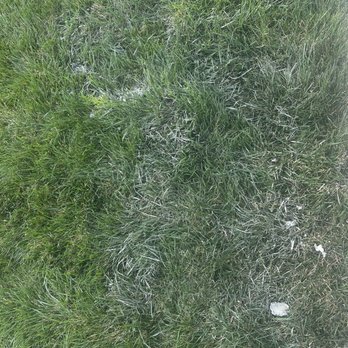 QTC Landscape Construction - Left concrete all in my yard while they're doing the job they left their concrete tools in the grass didn't put no drop-down at all - Artificial Turf Near Me