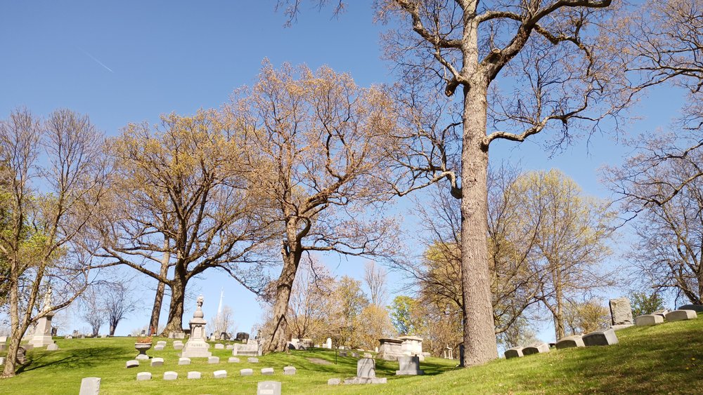 Forest Lawn - veterans service organization in Buffalo, NY