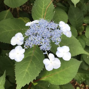 Dorothy B Oven Park - Parks Near Me - Tallahassee, Florida
