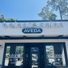 Balance Salon AVEDA gift card