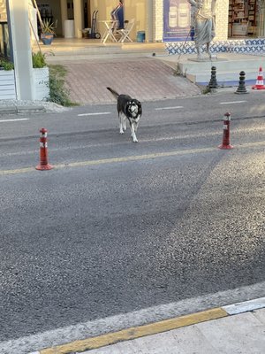 Yalıkavak Marina by null