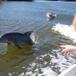 Everglades Backcountry Experience - See the dolphins with a 5th generation native guide!