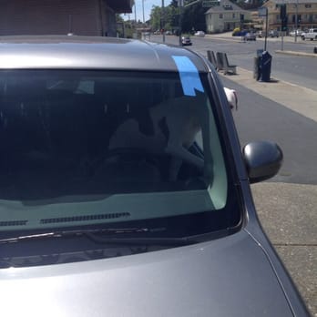 Safeko Auto Glass - My dog checking the work making sure it's up to his standards. Lol - Auto Glass Services Near Me Safeko Auto Glass - My dog checking the work making sure it's up to his standards. Lol - Auto Glass Services Near Me