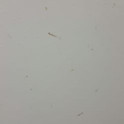 Goodwill  - Disgusting. All of the dots on this wall...are boogers.