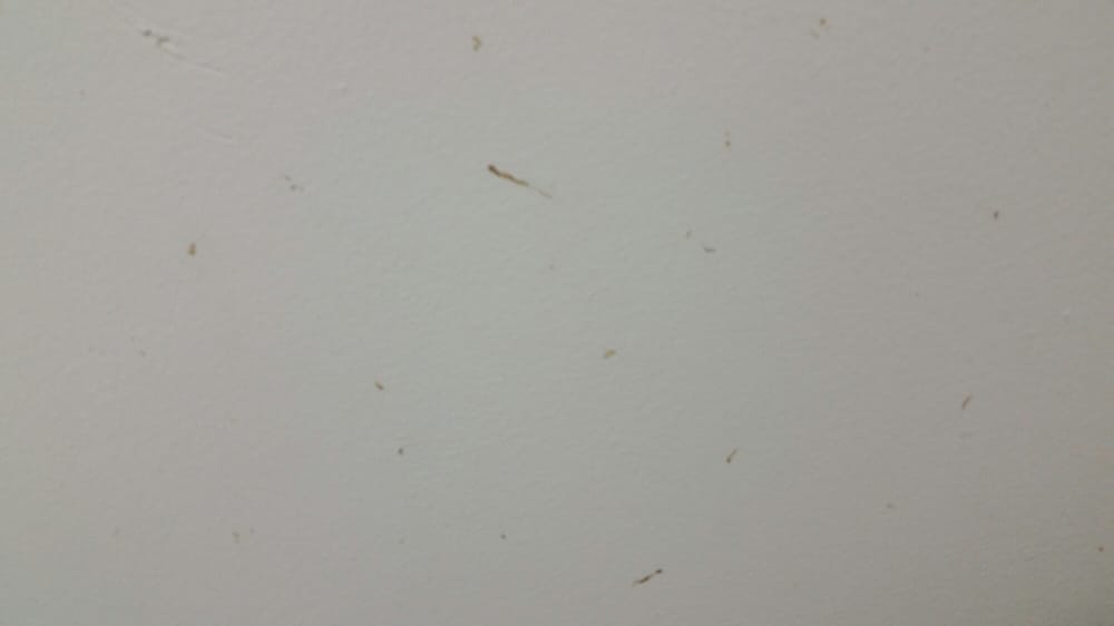 GOODWILL INDUSTRIES Updated August 2024 1806 Missouri Blvd