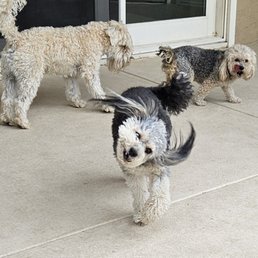 Winn goes wild for the treats at Pet Supply Warehouse! Winn goes wild for the treats at Pet Supply Warehouse!