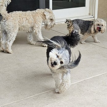 Pet Supply Warehouse - Winn goes wild for the treats at Pet Supply Warehouse! - Pet Stores Near Me - Anaheim Hills, California Pet Supply Warehouse - Winn goes wild for the treats at Pet Supply Warehouse! - Pet Stores Near Me - Anaheim Hills, California