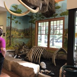 Mastodon dog site for the kids Mastodon dog site for the kids