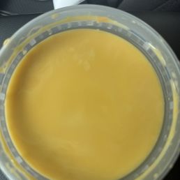 Queso Queso