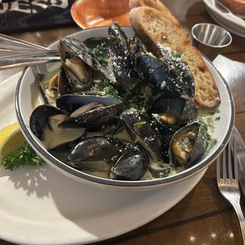 Calypso Restaurant & Raw Bar - Muscles Florentine - Caribbean Near Me - Pompano Beach, Florida Calypso Restaurant & Raw Bar - Muscles Florentine - Caribbean Near Me - Pompano Beach, Florida