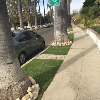 Soils Solutions - kurapia in a parkway - Landscaping Near Me