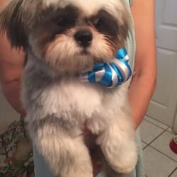 Little puff of love!