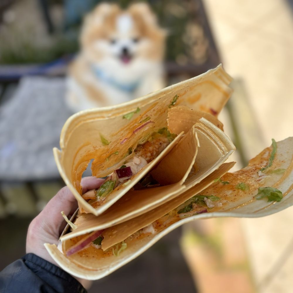 Holy Crepe - Inside the Larb Crêpe w/ chicken, lettuce, cilantro, red onions, larb sauce | $12.95 - Creperies Near Me - San Francisco, California