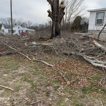 Total Tree Service - This is how the yard was left. - Tree Services Near Me - Knoxville, Tennessee Total Tree Service - This is how the yard was left. - Tree Services Near Me - Knoxville, Tennessee
