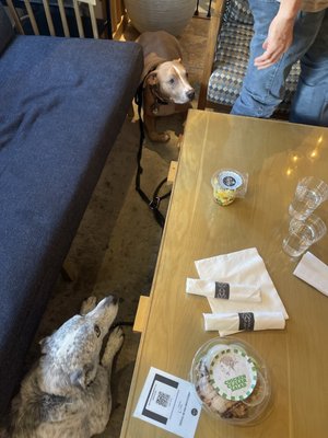 Sway Cafe & Wine Bar by null