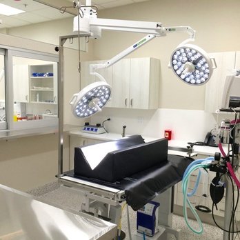 All Creatures Animal Hospital - Emergency Pet Hospital Near Me - Surrey, British Columbia All Creatures Animal Hospital - Emergency Pet Hospital Near Me - Surrey, British Columbia