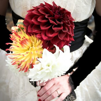 Blue Lace Photography - Photographers Near Me Blue Lace Photography - Photographers Near Me