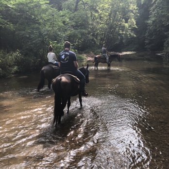 Natchez Trace Stables - Horseback Riding Near Me - Primm Springs, Tennessee Natchez Trace Stables - Horseback Riding Near Me - Primm Springs, Tennessee