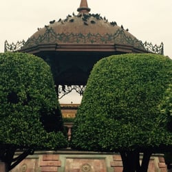 Kiosco León - Hasta los árboles parecen que se besan
