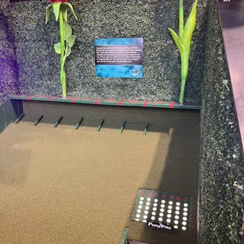 The Fat Putter - Mini Golf Near Me - Omaha, Nebraska The Fat Putter - Mini Golf Near Me - Omaha, Nebraska