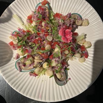Aji Ceviche Bar - Seafood Near Me - St. Petersburg, Florida Aji Ceviche Bar - Seafood Near Me - St. Petersburg, Florida