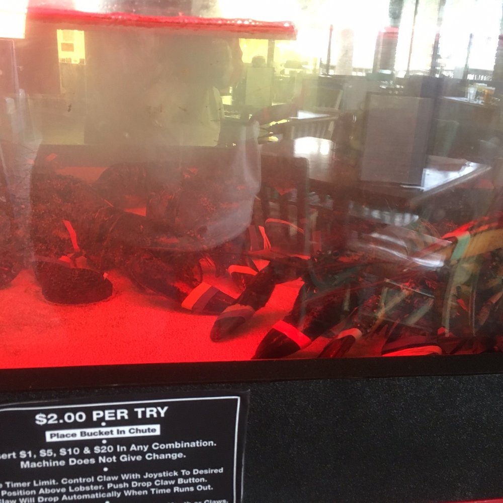Fish Camp On Lake Eustis - Seafood Near Me - Tavares, Florida