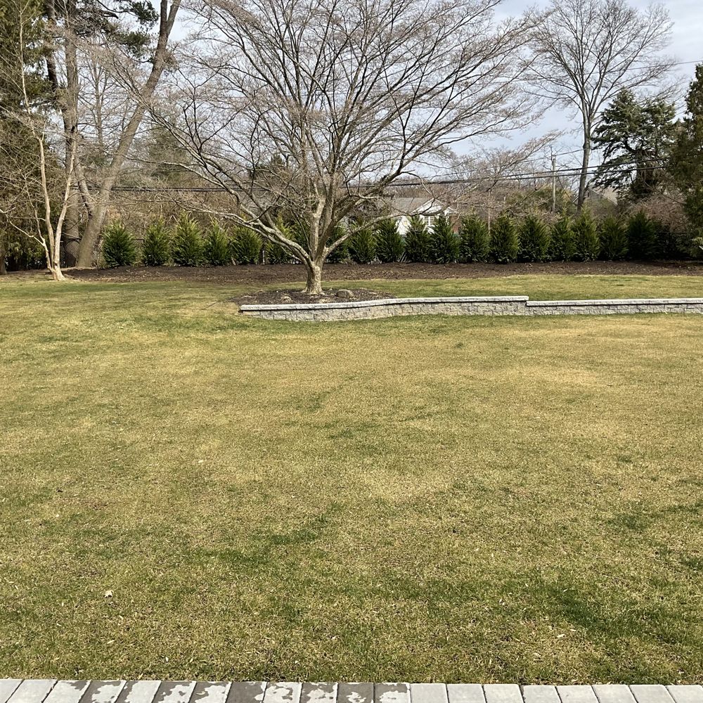 All Stars Tree Solutions - After - Tree Services Near Me - Glen Cove, New York All Stars Tree Solutions - After - Tree Services Near Me - Glen Cove, New York