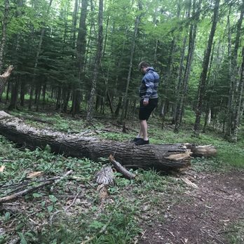 Lake of the Clouds - Hiking Near Me - Ontonagon, Michigan