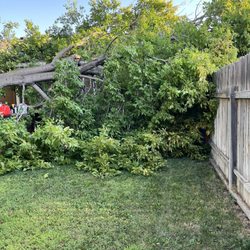 Parker Tree Service - Tree branch fell on house and fence