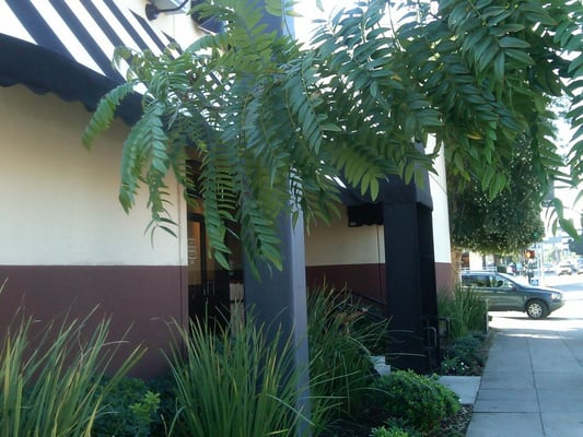 Corner Bakery Cafe by null