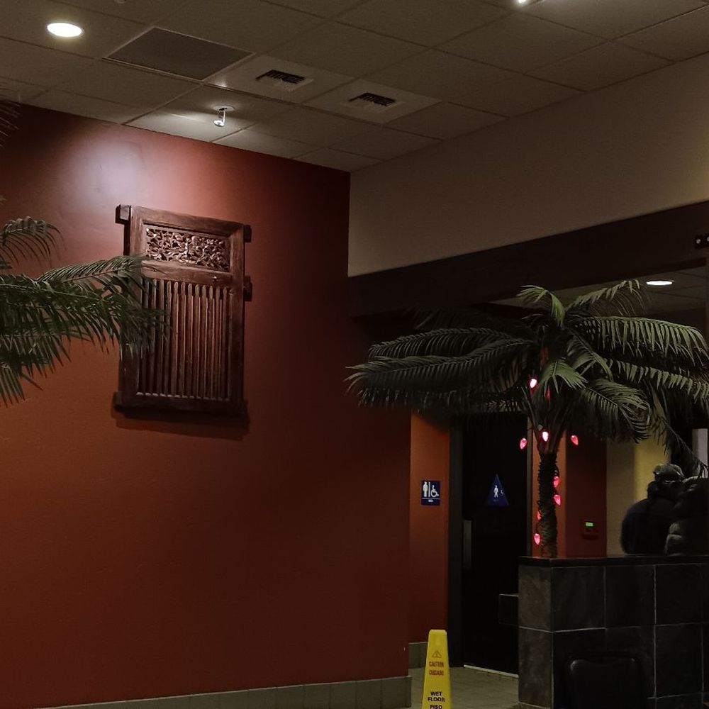 Taco Tree - Festive interior Chrostmas Palms - Mexican Near Me - Auburn, California Taco Tree - Festive interior Chrostmas Palms - Mexican Near Me - Auburn, California