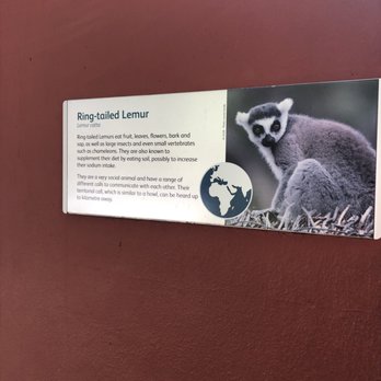 Taronga Zoo - Zoos Near Me - Mosman, NSW