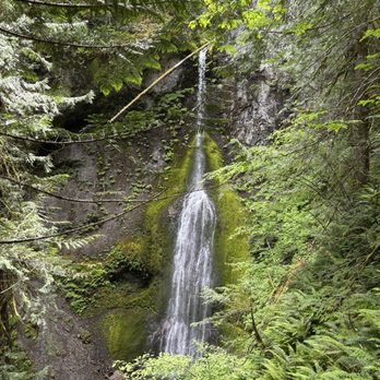 Marymere Falls - Hiking Near Me - Port Angeles, Washington