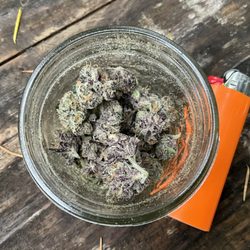 Rock Y Arena - Buds