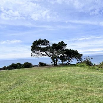 Trinks - view from table - Coffee & Tea Near Me - Gualala, California