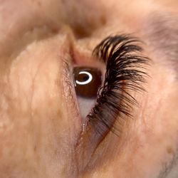 Luxe Lashes by Heather