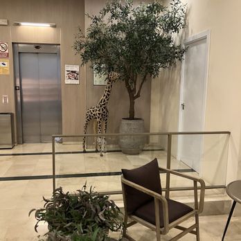 Hotel Catalonia Atocha - Elevator area - Hotels Near Me - Madrid, M