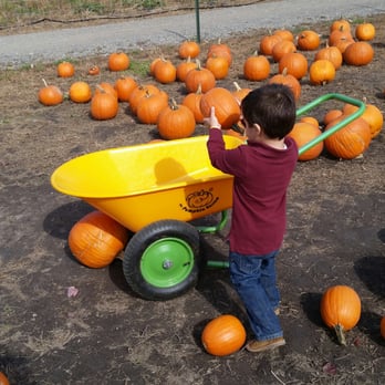 Connors Farm - Pumpkin Patch - Farmers Market Near Me - Danvers, Massachusetts Connors Farm - Pumpkin Patch - Farmers Market Near Me - Danvers, Massachusetts