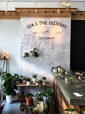 Gia and the Blooms -OTR by null